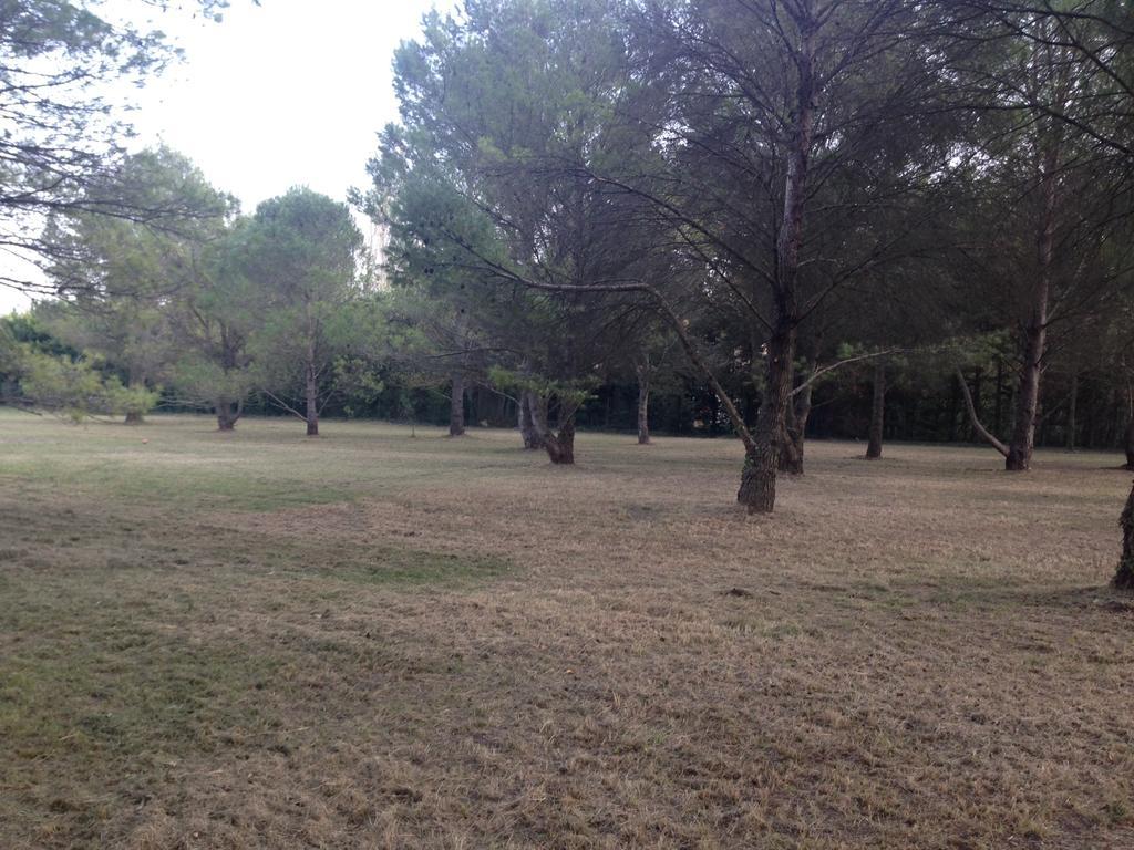 Le Mas de Trévouse Saint-Saturnin-lès-Avignon Extérieur photo